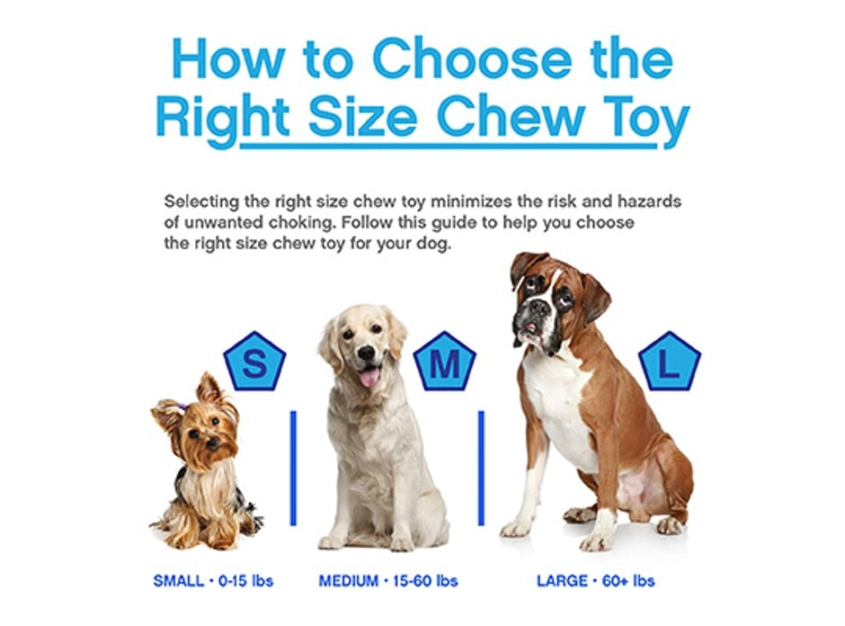 JW Large Squeaky Barbell Dog Toy, Assorted Colors - Shop Chew Toys