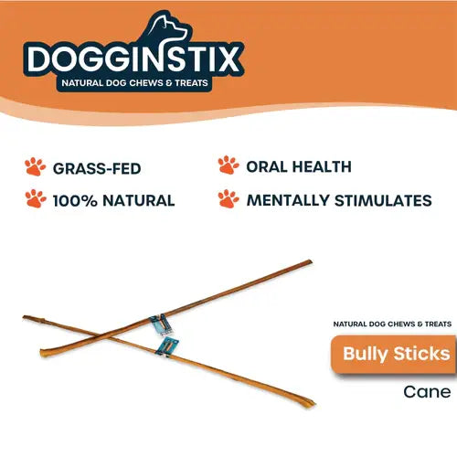 30-32 Cane Bully Sticks