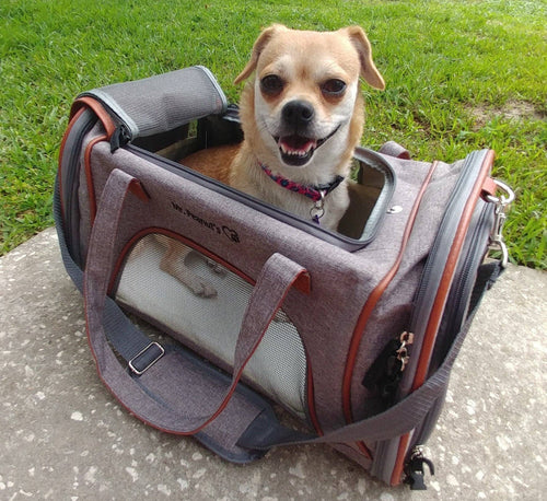 Mr. Peanut's Gold Series Airline Capable Pet Carrier: Rosa