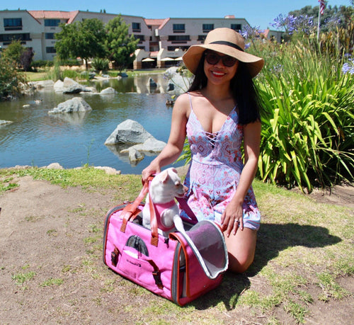 Mr. Peanut's Gold Series Airline Capable Pet Carrier: Rosa