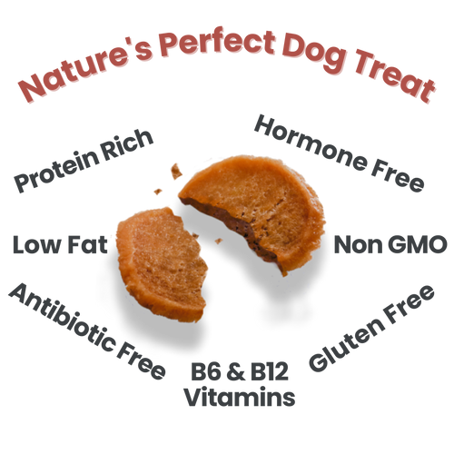 Chicken Chips Dog Treats: 4oz