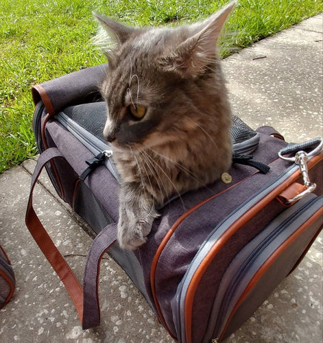 Mr. Peanut's Gold Series Airline Capable Pet Carrier: Rosa