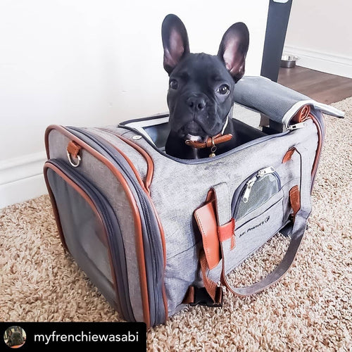 Mr. Peanut's Gold Series Airline Capable Pet Carrier: Rosa
