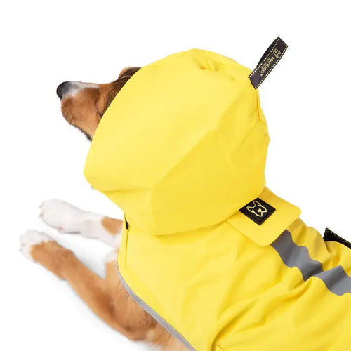 NANDOG Dog Rain Coat Sport Collection: Large