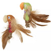 Petlinks® Instincts Love Mates™ Feathery Plush HappyNip™ Silvervine & Catnip Bird Cat Toys