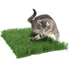 Petlinks® Instincts Meadow Mayhem™ Paper Grass Hide and Seek Cat Toy (Set of 2 - Green)