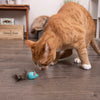 SmartyKat Instincts Sneaky Slider™ Rolling Marble Cat Toy