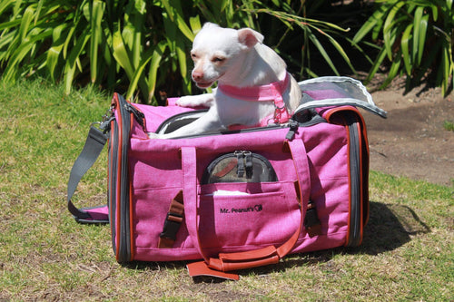 Mr. Peanut's Gold Series Airline Capable Pet Carrier: Rosa