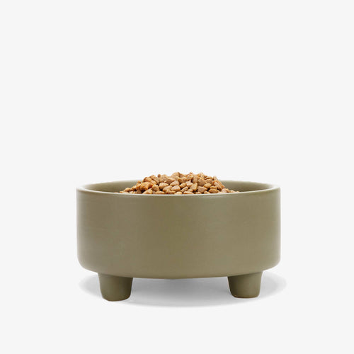 Uplift Bowl Ceramic Dog Bowl: Olive / M