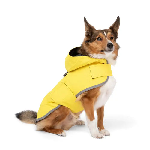 NANDOG Dog Rain Coat Sport Collection: Medium