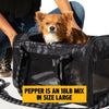 OUT-OF-OFFICE PET CARRIER PRO EDITION: BLACK CAMO / BLACK / LARGE - UP TO 25LBS