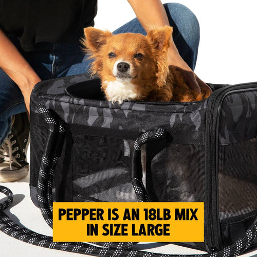 OUT-OF-OFFICE PET CARRIER PRO EDITION: BLACK / YELLOW / LARGE - UP TO 25LBS