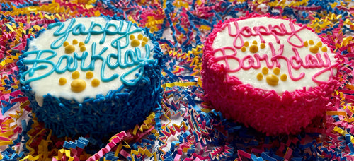 Yappy Barkday Sprinkle Cake dog treats: 3/pink 3/blue / Mini / Happy Bday