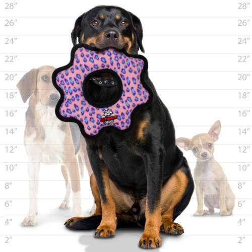 Tuffy Ultimate Gear Ring - Pink Leopard, Squeaky Dog Toy