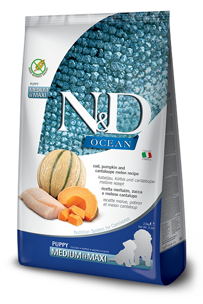 N&d natural & delicious pumpkin formula best sale