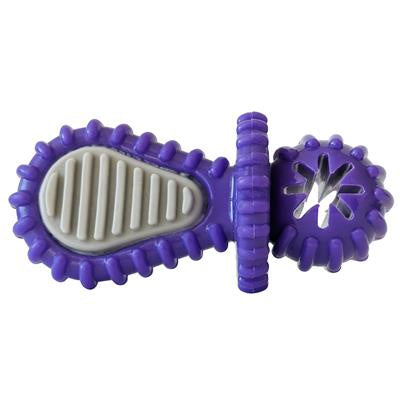 JoJo Dental Pacifier Purple