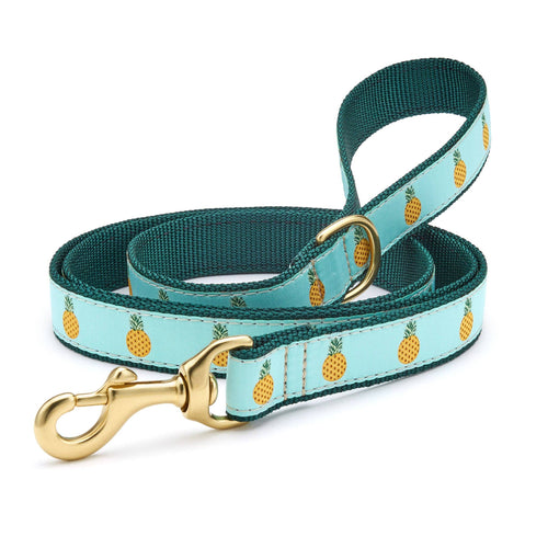 Pineapple dog collar and leash best sale