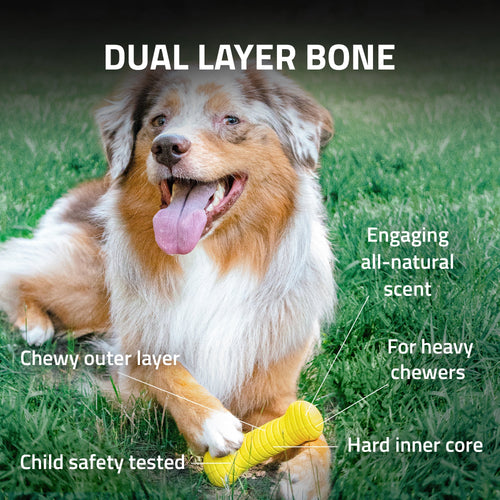 Playology Dual Layer Bone Dog Toy