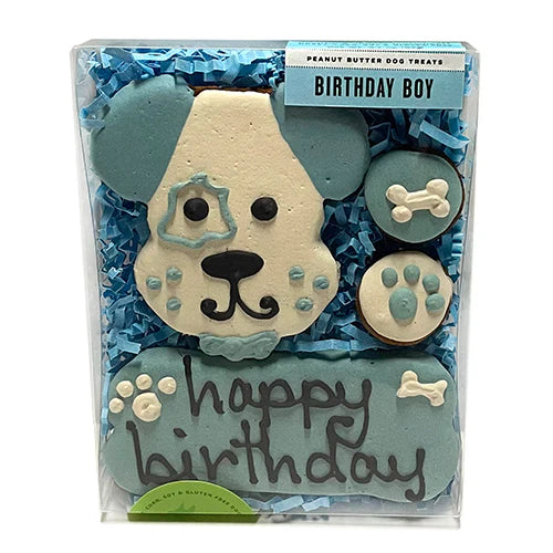 Bubba Rose Biscuit Birthday Boy Box