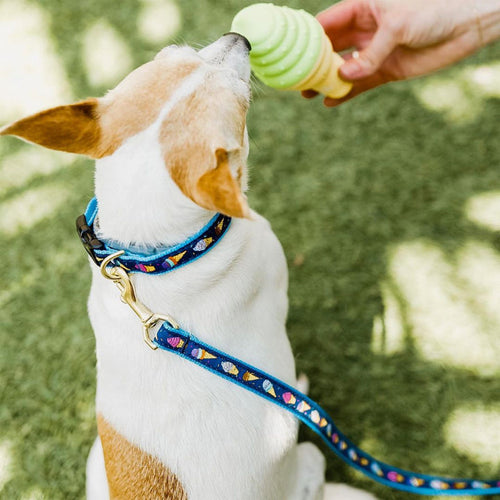 Up Country Ice Cream Dog Collar (X-Large (fits necks 18 - 24) Wide (1))