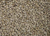 World's Best Cat Litter Low Tracking & Dust Control Cat Litter (15 Lb)