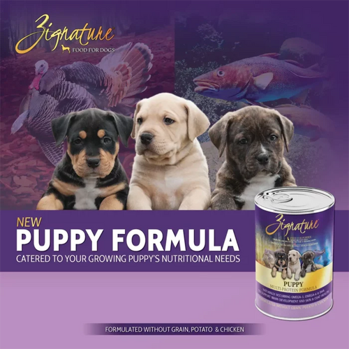 Zignature Puppy Formula Wet Dog Food