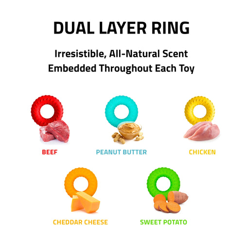 Playology Dual Layer Ring Dog Toy