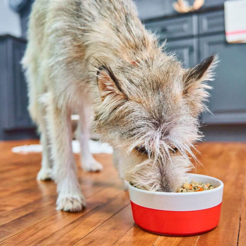 Stella & Chewy's FreshMade Gobblin' Good Gently Cooked Dog Food