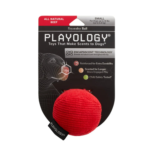 Playology Plush Squeaky Ball Dog Toy (Beef Small)