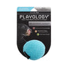 Playology Plush Squeaky Ball Dog Toy (Beef Small)