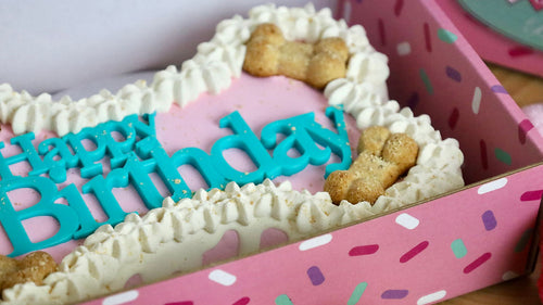 Dog Cakes | Dog Birthday Cakes | Bone Cake (9 inch Blue)