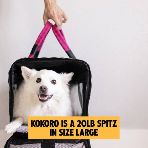 OUT-OF-OFFICE PET CARRIER PRO EDITION: BLACK / YELLOW / LARGE - UP TO 25LBS