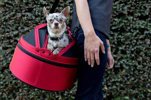 Sleepypod mobile pet bed: Charcoal Grey