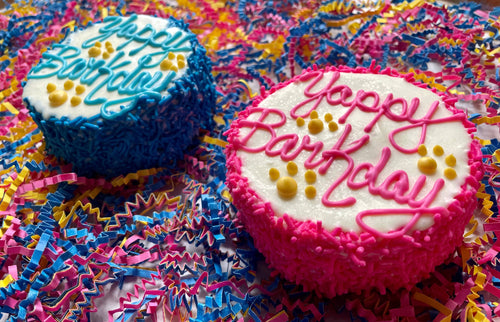 Yappy Barkday Sprinkle Cake dog treats: 3/pink 3/blue / Mini / Happy Bday