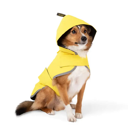 NANDOG Dog Rain Coat Sport Collection: Medium