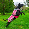 Doggie Design Alpine All-Weather Dog Coat - Raspberry Plaid