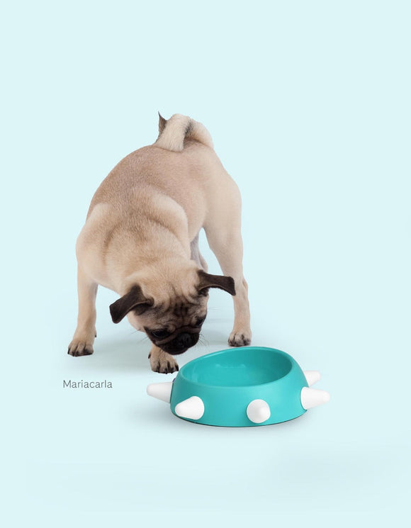 United Pets Boss Small Bowl