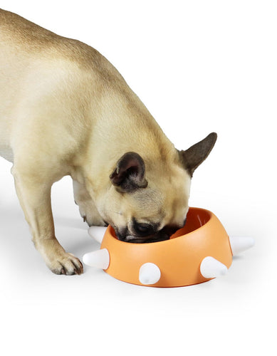 United Pets Boss Small Bowl