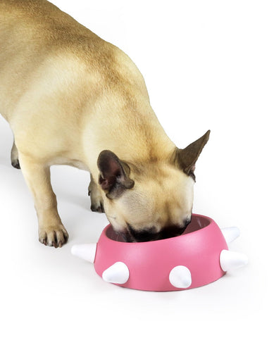 United Pets Boss Small Bowl