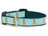 Pineapple Dog Collar: Medium / Wide