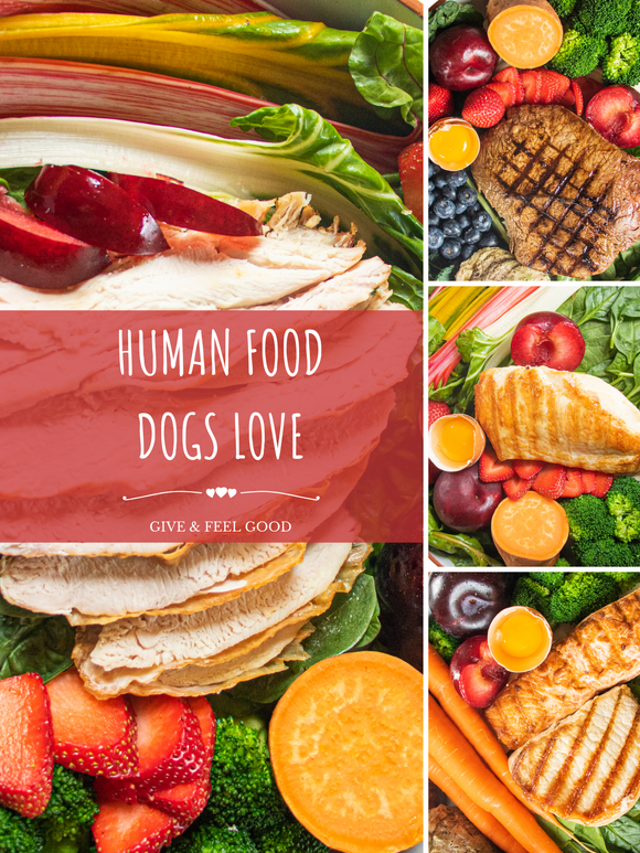 Human Grade, Gently Cooked Meals for Dogs -Build Your Box!