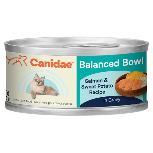 Canidae® Balanced Bowl Salmon & Sweet Potato Recipe Wet Cat Food (3-oz, single)