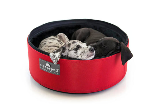 Sleepypod mobile pet bed: Charcoal Grey