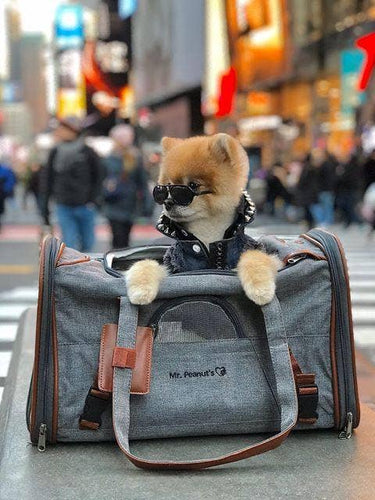 Mr. Peanut's Gold Series Airline Capable Pet Carrier: Rosa