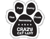 Imagine This Paw Car Magnet