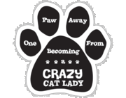 Imagine This Paw Car Magnet