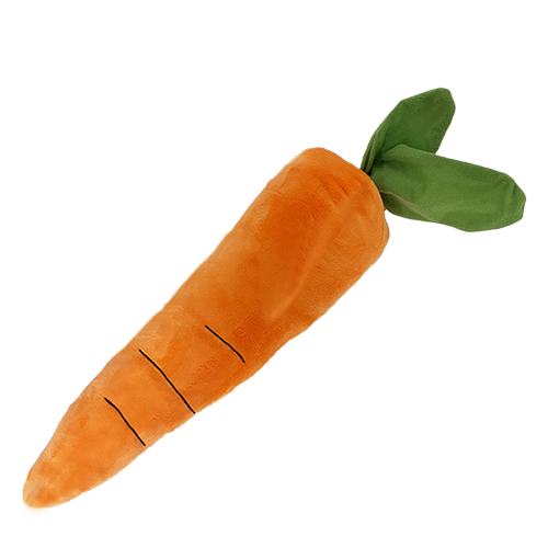 PetLou 15 Carrot Dog Toy