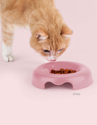 United Pets Kitty Bowl