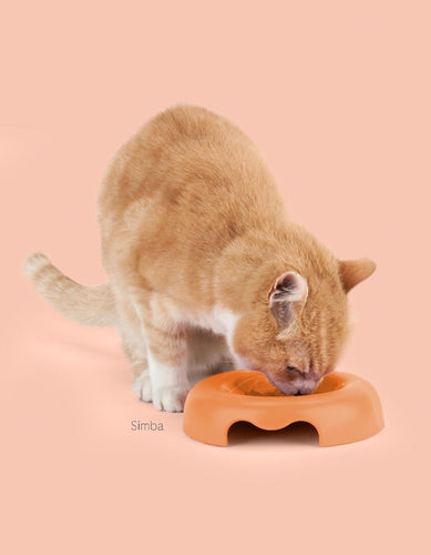 United Pets Kitty Bowl