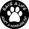 Imagine This Save a Life Adopt a Homeless Pet Car Magnet